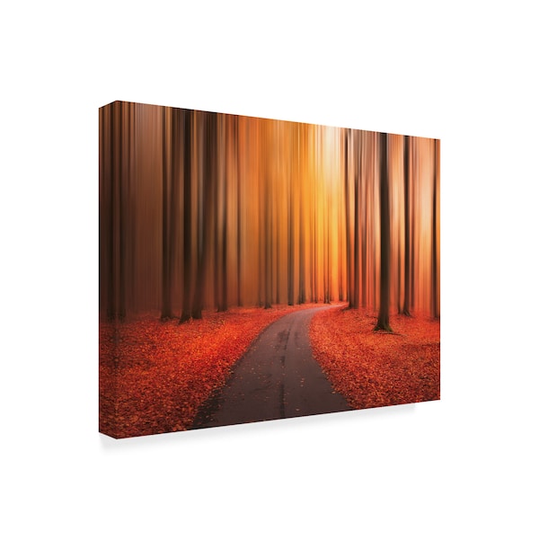 Christian Lindsten 'Path To Unknown' Canvas Art,18x24